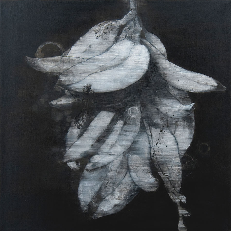 "Coup detat" by Jose Camacho