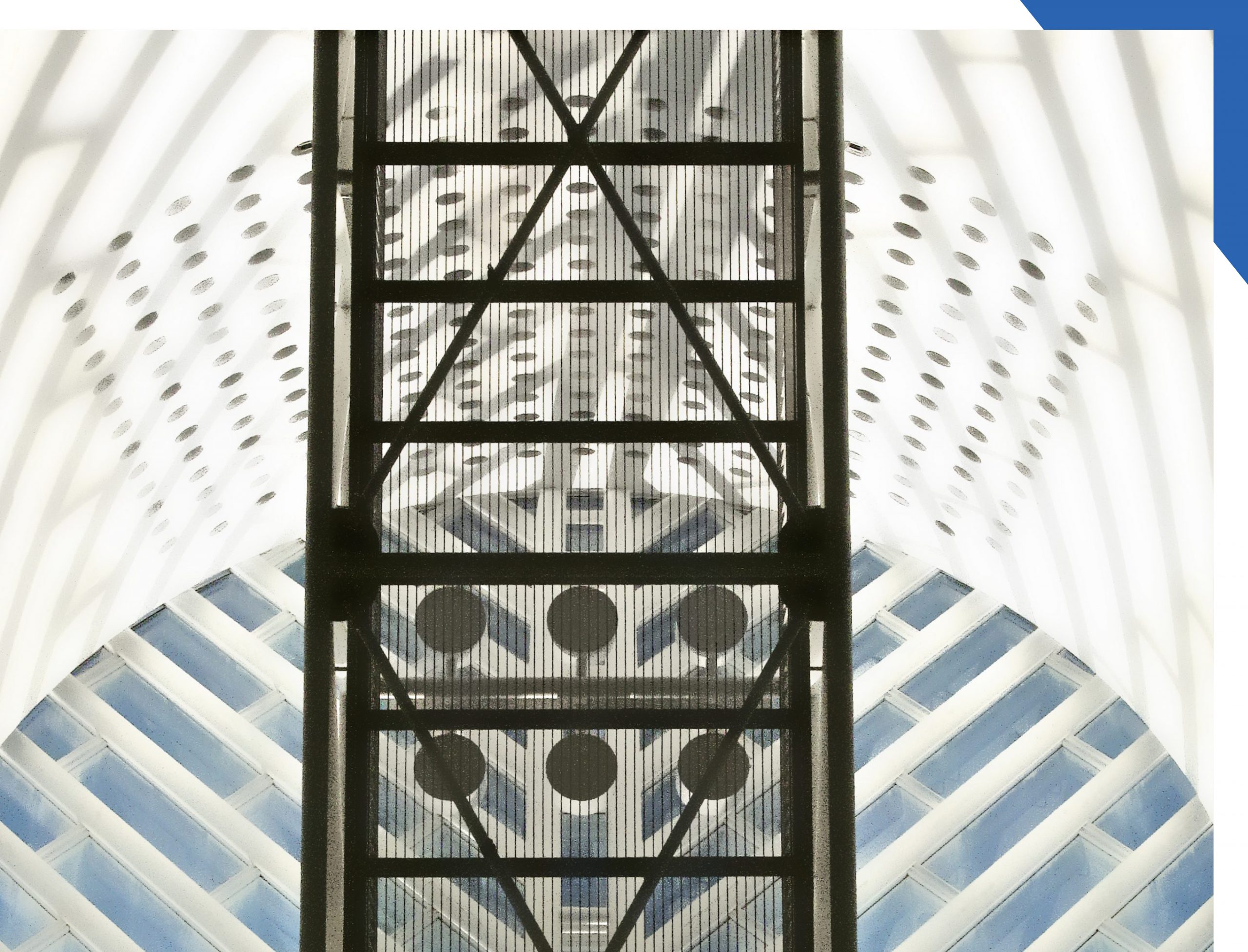 Image for Focus Forward Virtual Exhibition
