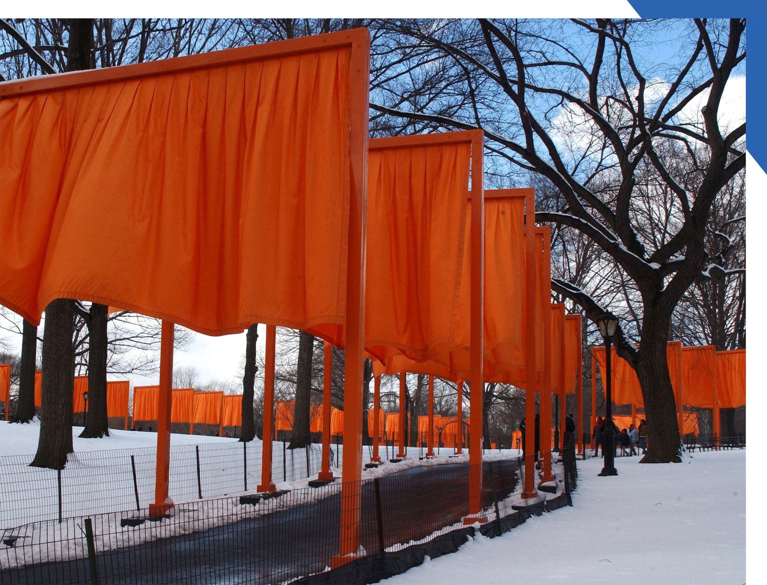A view of the Gates installation in Central Park