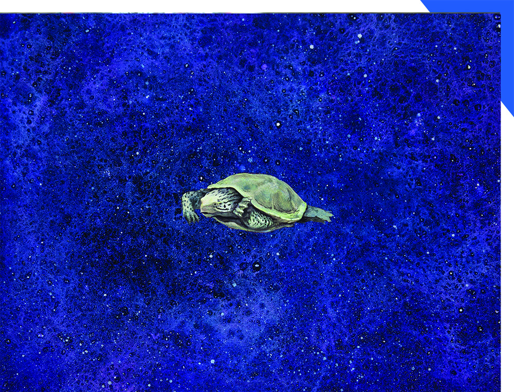 Yvette Molina Painting of Turtle