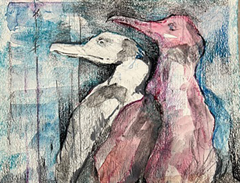Duane Lutsko Professional Development event image. It features a pink and white bird huddling together.