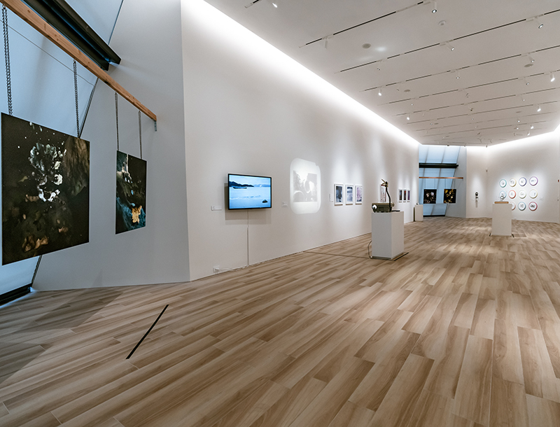 Image of the Main Gallery at VACNJ