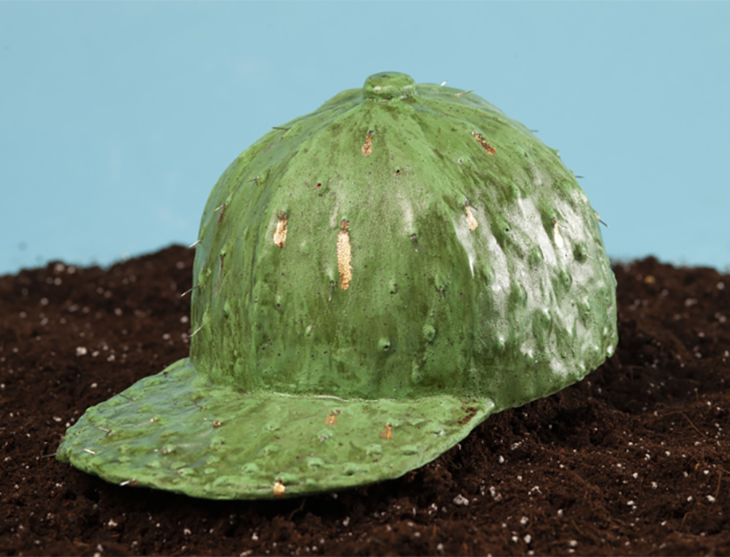 A green baseball cap sculpted to look like a cactus, complete with bumps and small patches of gold. The cap rests on dark soil against a light blue background, appearing as if it is growing from the ground.
